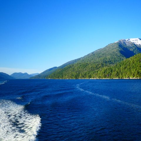 Afbeelding omschrijving