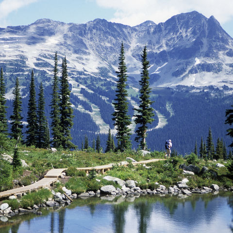 Afbeelding omschrijving