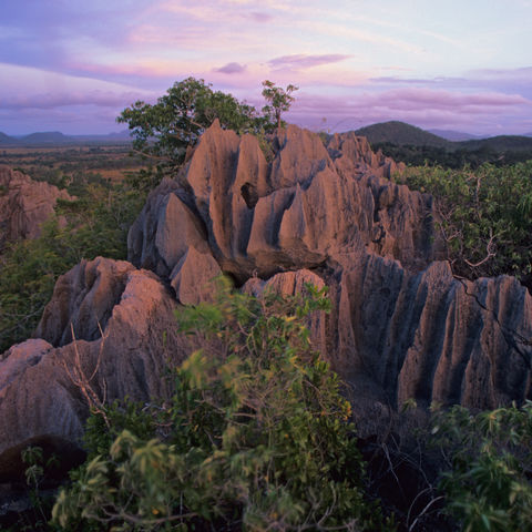 Afbeelding omschrijving