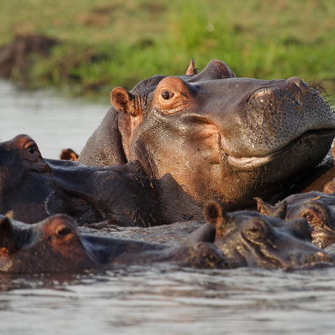 Afbeelding omschrijving