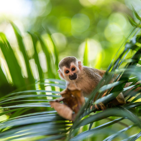 Afbeelding omschrijving