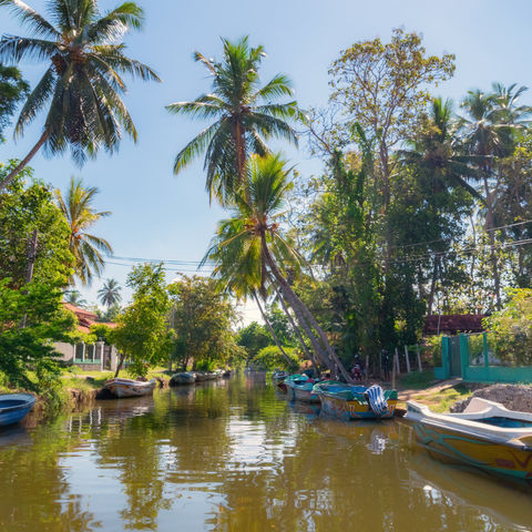Afbeelding omschrijving