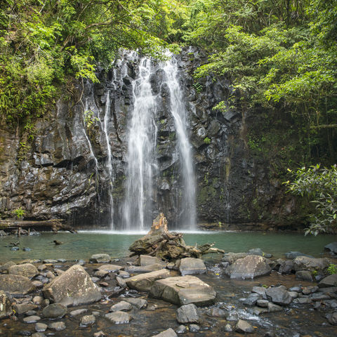 Afbeelding omschrijving