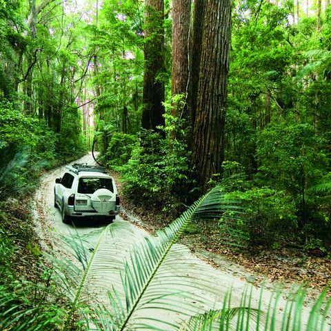 Afbeelding omschrijving