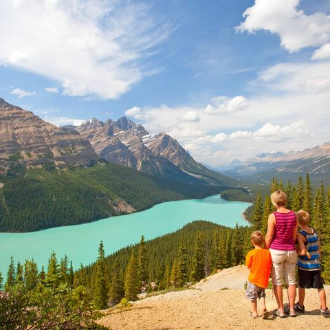 Afbeelding omschrijving