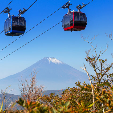 Afbeelding omschrijving