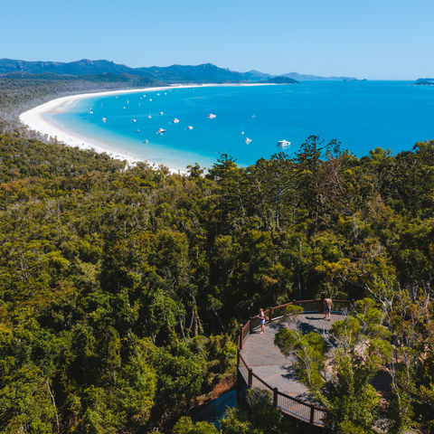 Afbeelding omschrijving