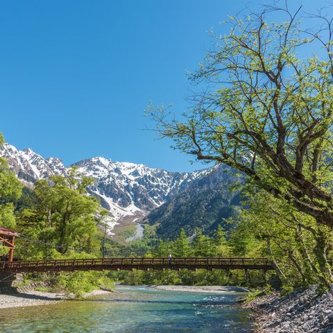 Afbeelding omschrijving