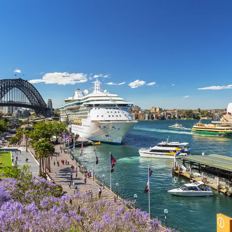 Afbeelding omschrijving