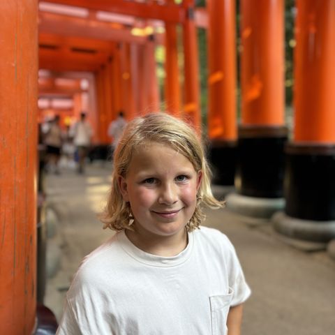 Afbeelding omschrijving