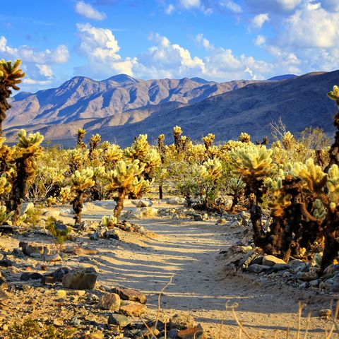 Afbeelding omschrijving