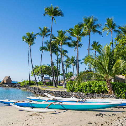 Afbeelding omschrijving