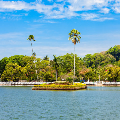 Afbeelding omschrijving