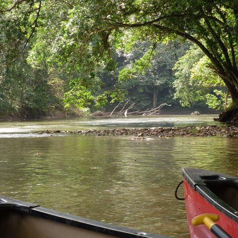 Afbeelding omschrijving