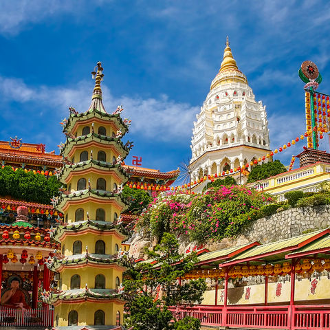 Afbeelding omschrijving