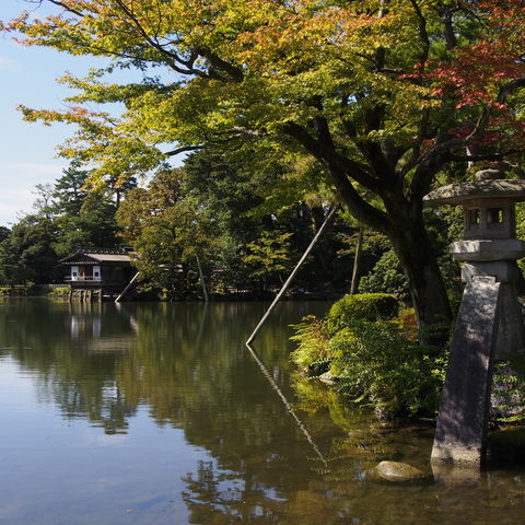 Afbeelding omschrijving