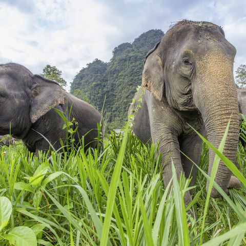 Afbeelding omschrijving