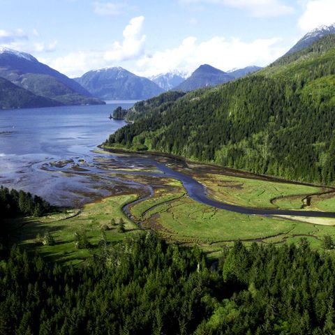 Afbeelding omschrijving