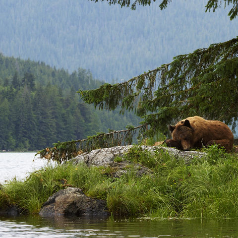 Afbeelding omschrijving
