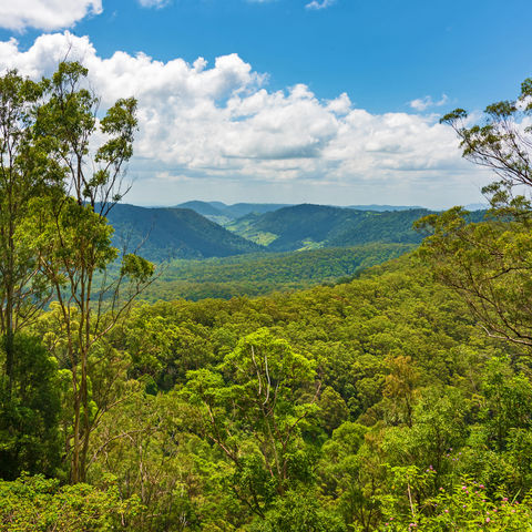 Afbeelding omschrijving
