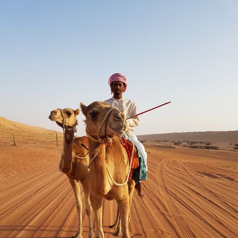 Lokaal vervoer in Wahiba Sands