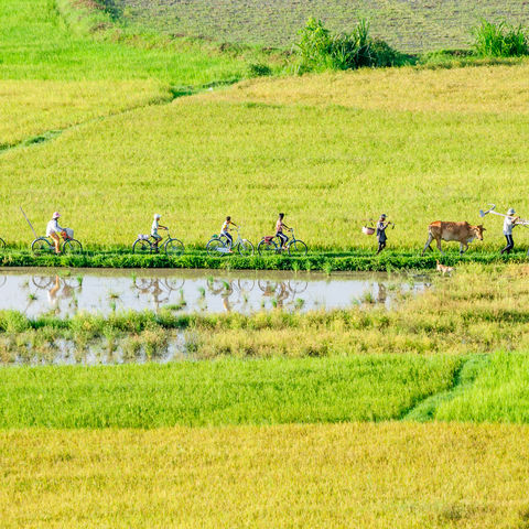 Afbeelding omschrijving