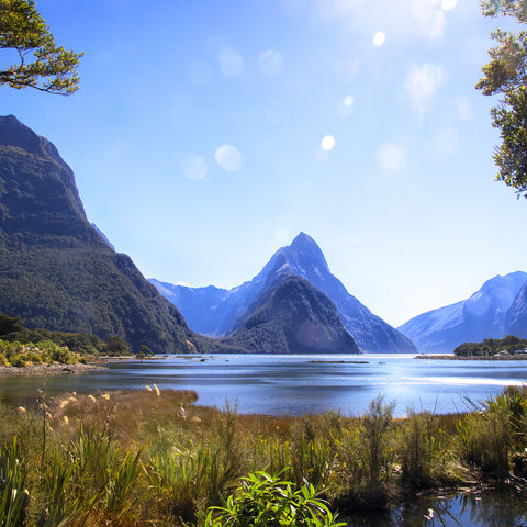Afbeelding omschrijving