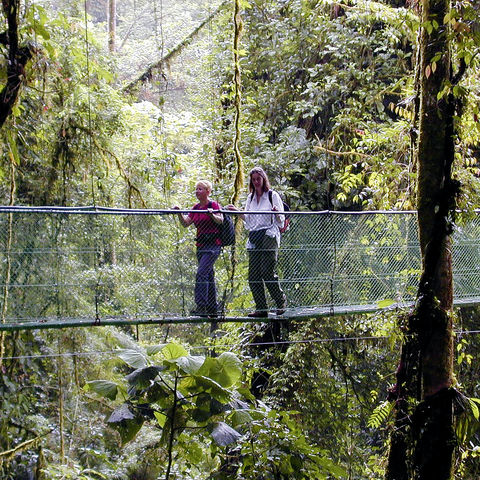 Afbeelding omschrijving