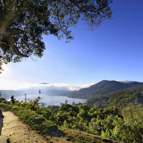 Afbeelding omschrijving