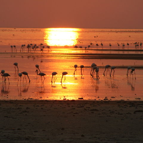 Afbeelding omschrijving