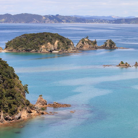 Afbeelding omschrijving