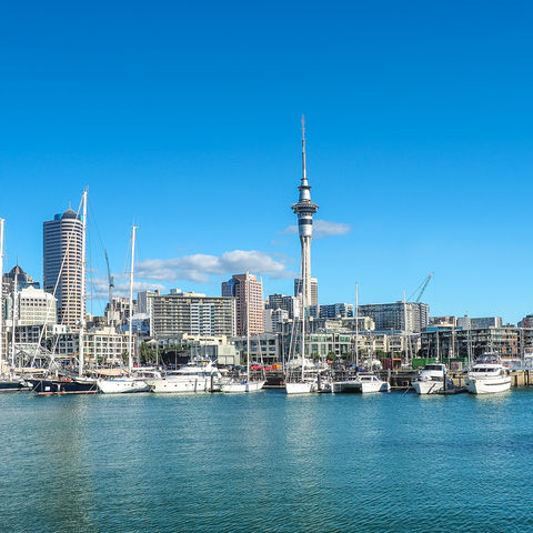 Afbeelding omschrijving