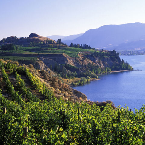 Afbeelding omschrijving