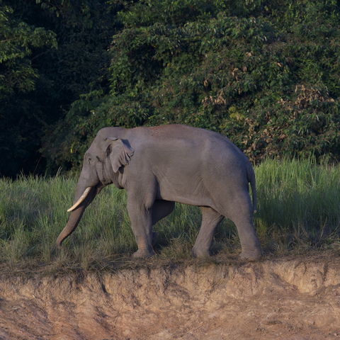 Afbeelding omschrijving