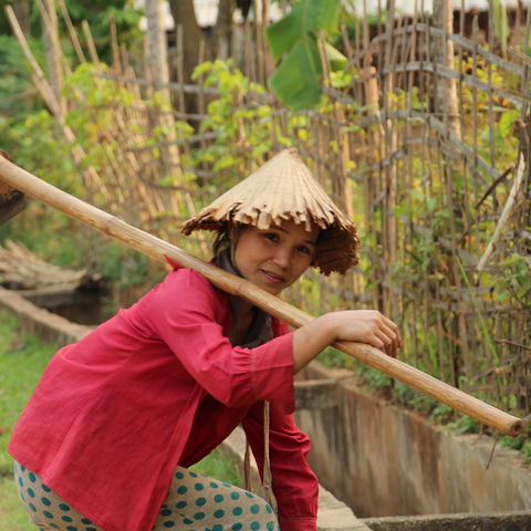 Afbeelding omschrijving