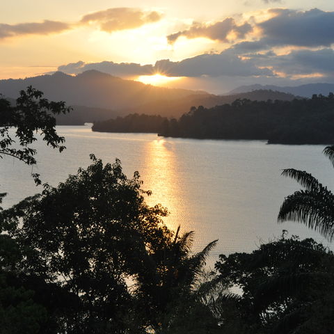 Afbeelding omschrijving