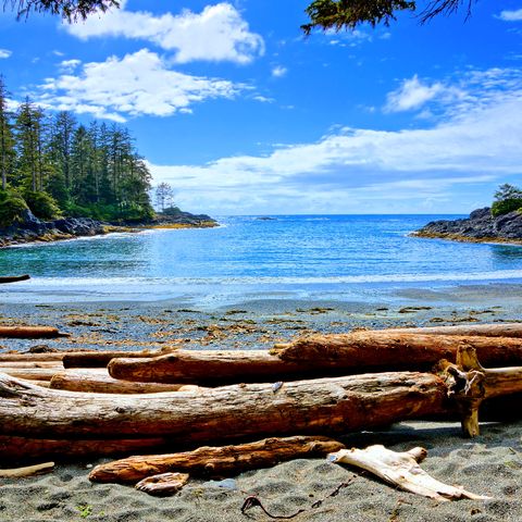 Afbeelding omschrijving