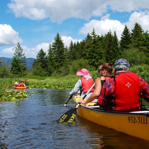 Afbeelding omschrijving