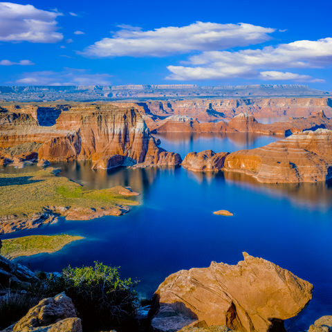 Afbeelding omschrijving