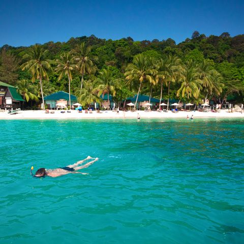 Afbeelding omschrijving