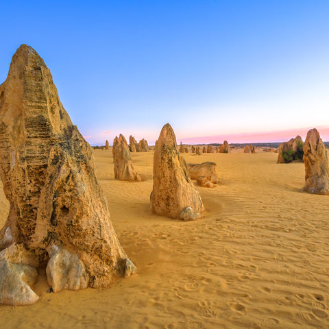 Afbeelding omschrijving