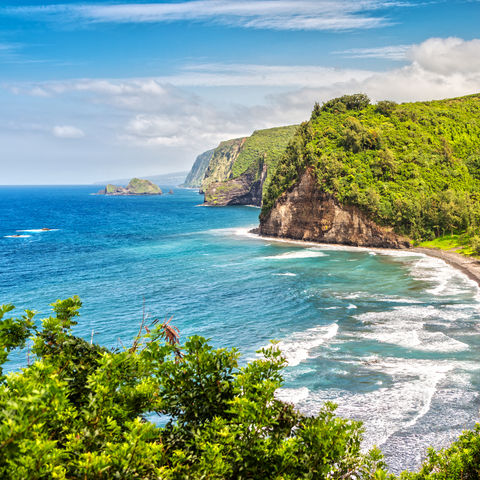 Afbeelding omschrijving