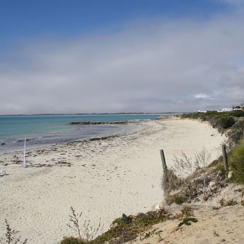 Afbeelding omschrijving