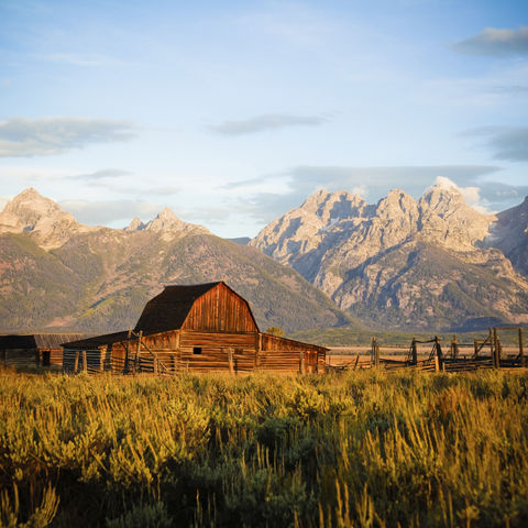 Afbeelding omschrijving