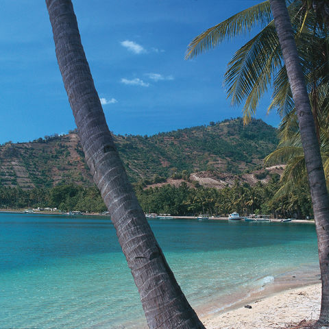 Afbeelding omschrijving