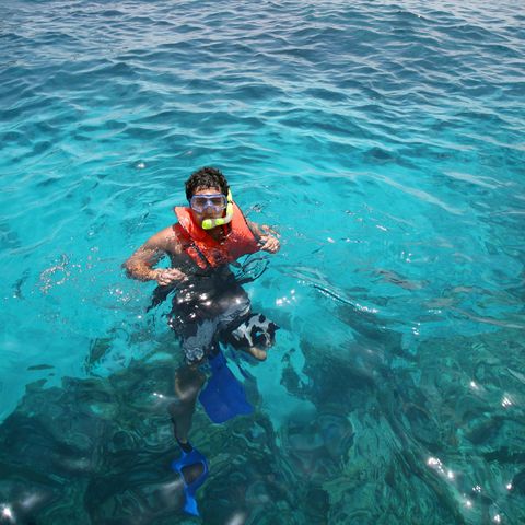 Afbeelding omschrijving