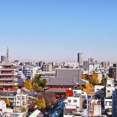 Afbeelding omschrijving