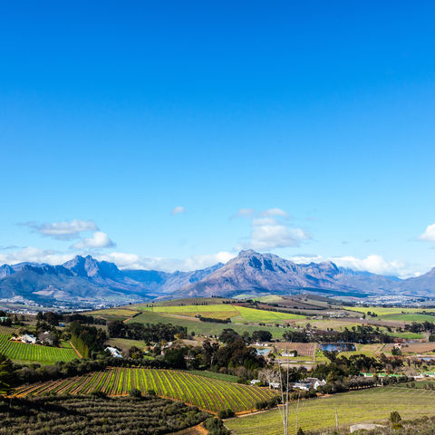 Afbeelding omschrijving