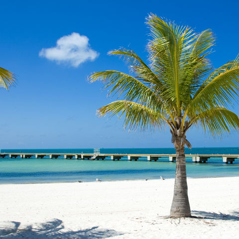 Afbeelding omschrijving