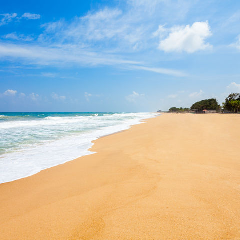 Afbeelding omschrijving